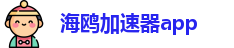 海鸥加速器app